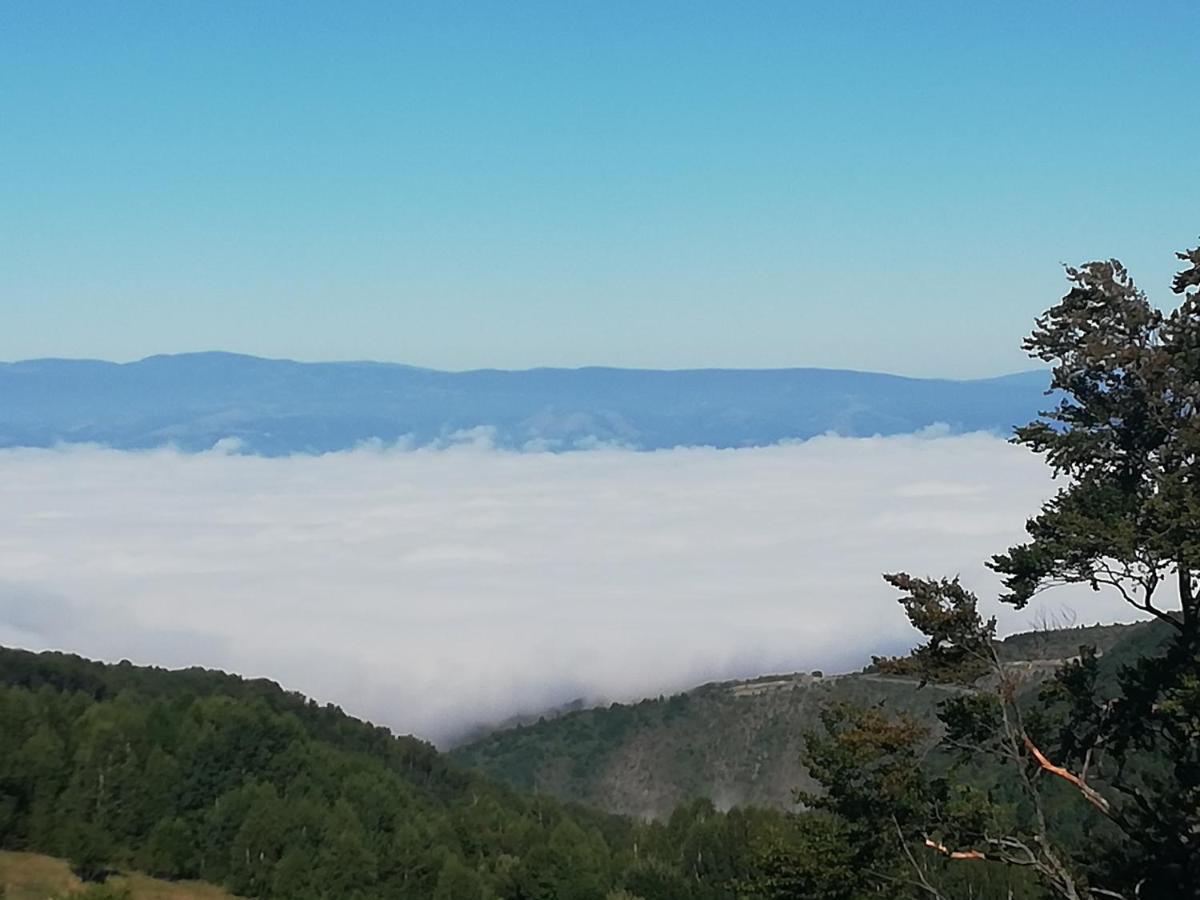 Apartman Adelfes P16, Milmari Resort Kopaonik Kültér fotó